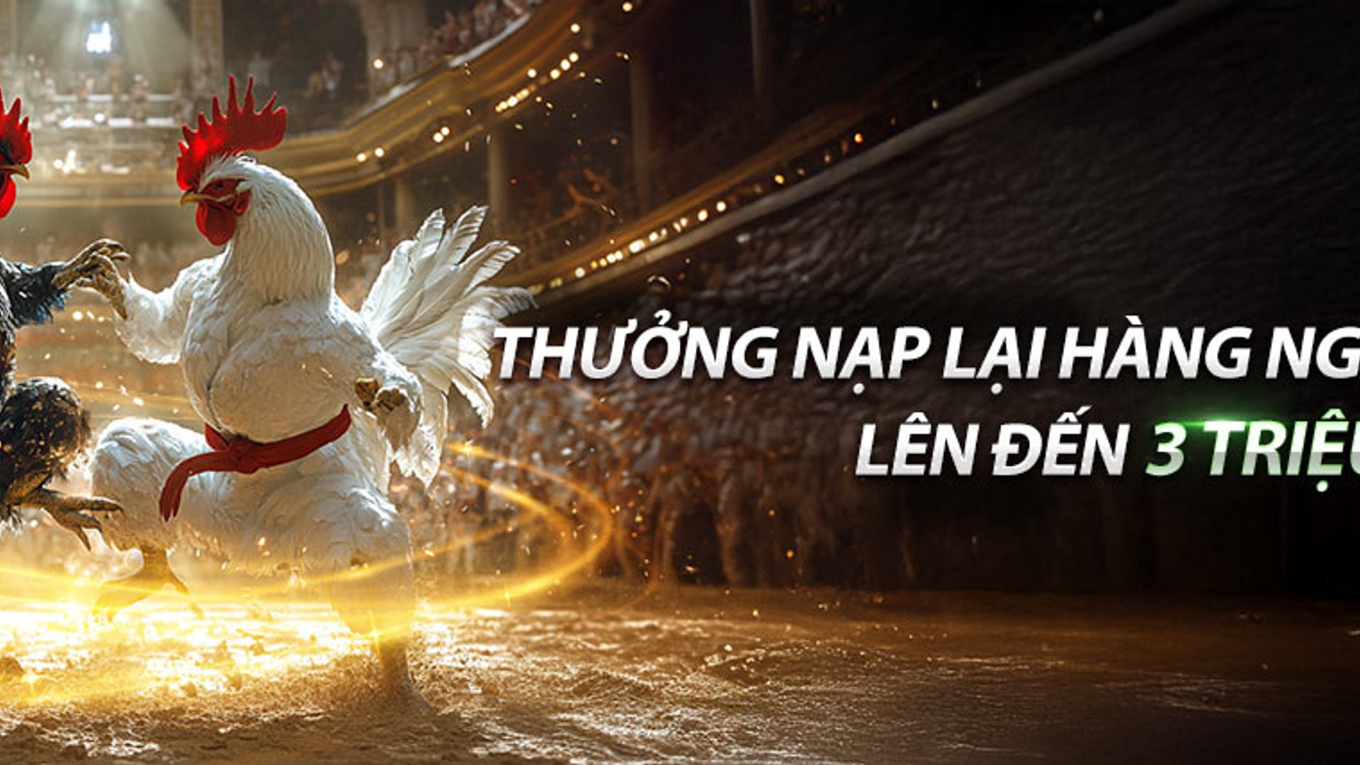 Đá gà trực tuyến rio66 với hình ảnh gà chiến dũng mãnh trên nền xanh đen và vàng kim